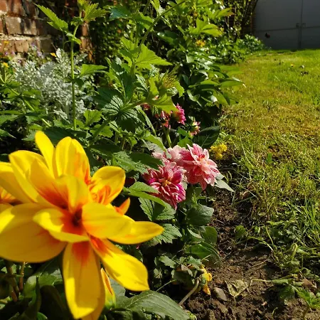 Chez Le Petit Peintre Hébergement de vacances *